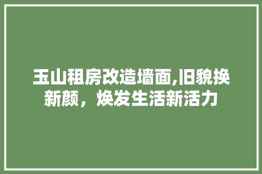 玉山租房改造墙面,旧貌换新颜，焕发生活新活力
