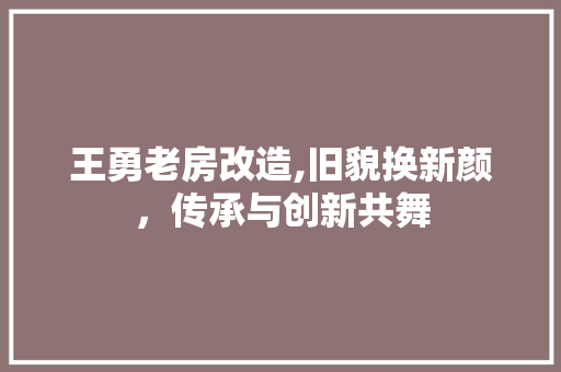 王勇老房改造,旧貌换新颜，传承与创新共舞