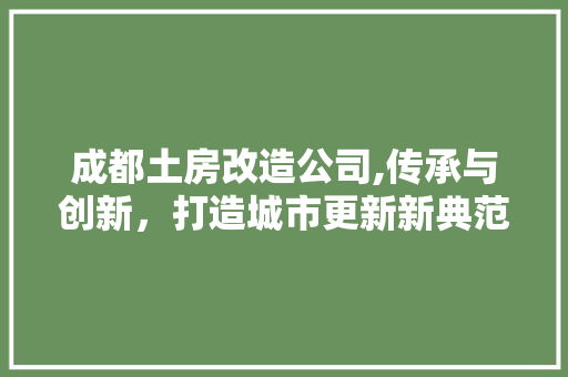 成都土房改造公司,传承与创新，打造城市更新新典范