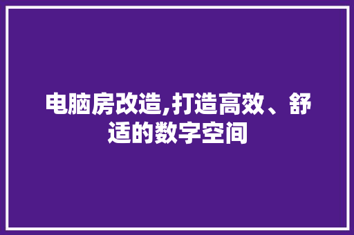 电脑房改造,打造高效、舒适的数字空间