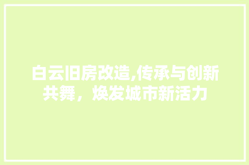白云旧房改造,传承与创新共舞，焕发城市新活力