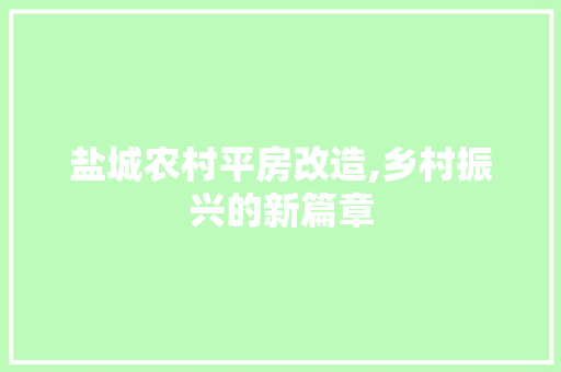 盐城农村平房改造,乡村振兴的新篇章