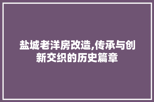 盐城老洋房改造,传承与创新交织的历史篇章