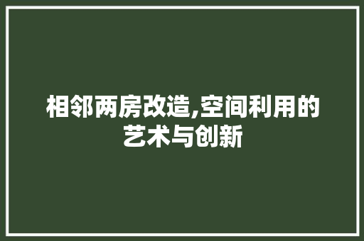 相邻两房改造,空间利用的艺术与创新