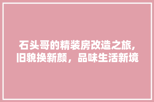 石头哥的精装房改造之旅,旧貌换新颜，品味生活新境界