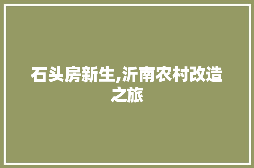石头房新生,沂南农村改造之旅