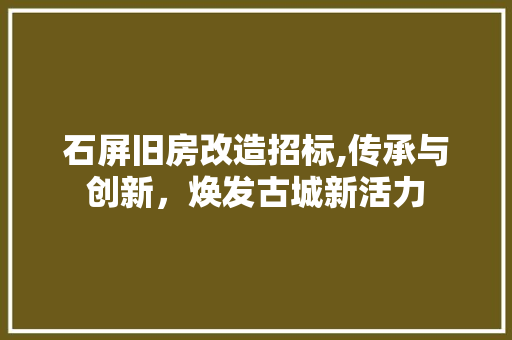 石屏旧房改造招标,传承与创新，焕发古城新活力