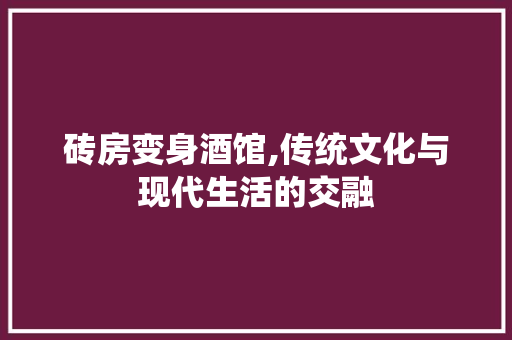 砖房变身酒馆,传统文化与现代生活的交融