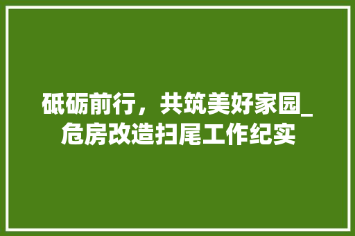 砥砺前行，共筑美好家园_危房改造扫尾工作纪实