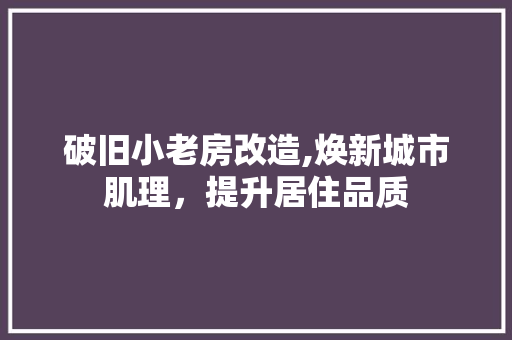 破旧小老房改造,焕新城市肌理，提升居住品质