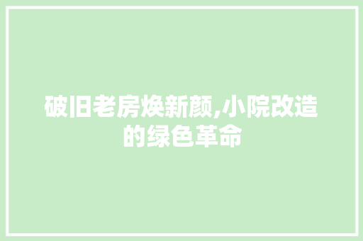 破旧老房焕新颜,小院改造的绿色革命