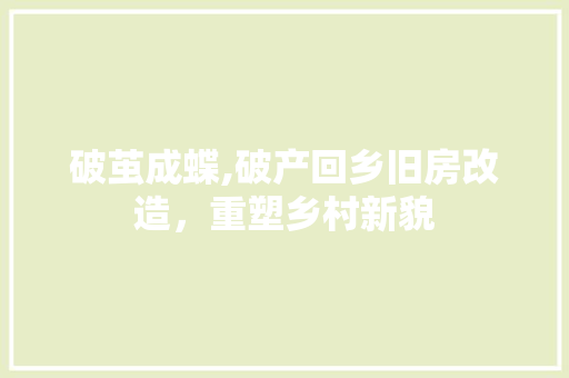 破茧成蝶,破产回乡旧房改造，重塑乡村新貌