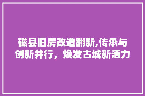 磁县旧房改造翻新,传承与创新并行，焕发古城新活力