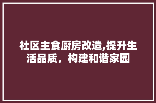 社区主食厨房改造,提升生活品质，构建和谐家园