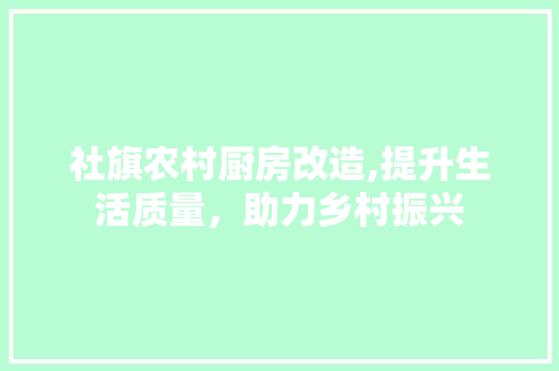 社旗农村厨房改造,提升生活质量，助力乡村振兴