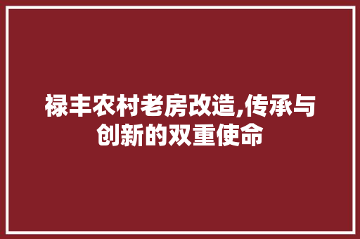 禄丰农村老房改造,传承与创新的双重使命