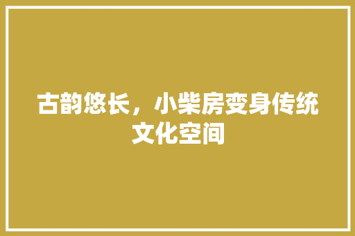 古韵悠长，小柴房变身传统文化空间