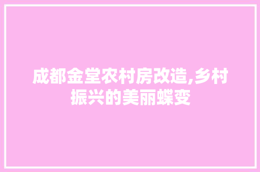成都金堂农村房改造,乡村振兴的美丽蝶变