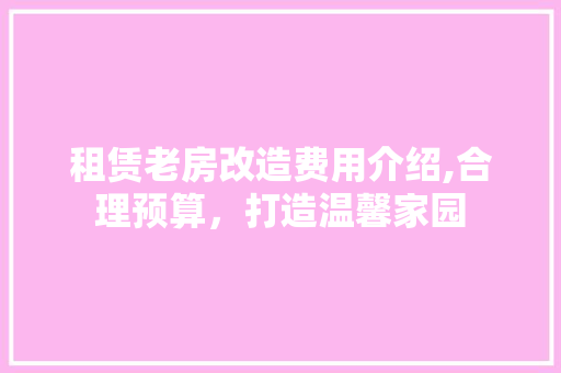 租赁老房改造费用介绍,合理预算，打造温馨家园