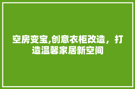 空房变宝,创意衣柜改造，打造温馨家居新空间