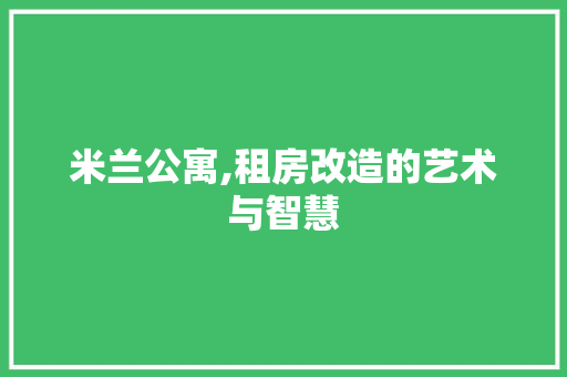 米兰公寓,租房改造的艺术与智慧