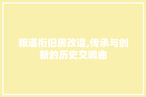 粮道衔旧房改造,传承与创新的历史交响曲
