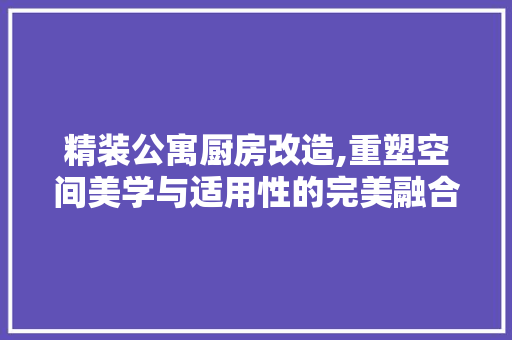 精装公寓厨房改造,重塑空间美学与适用性的完美融合