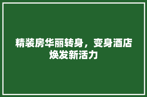 精装房华丽转身，变身酒店焕发新活力