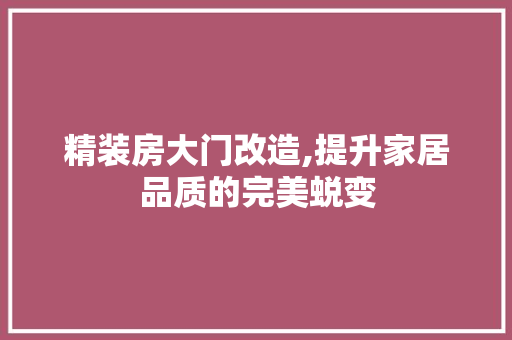 精装房大门改造,提升家居品质的完美蜕变