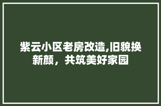 紫云小区老房改造,旧貌换新颜，共筑美好家园