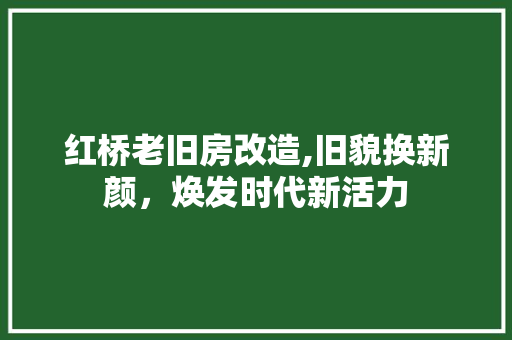红桥老旧房改造,旧貌换新颜，焕发时代新活力