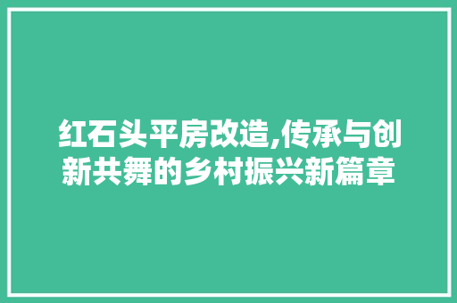 红石头平房改造,传承与创新共舞的乡村振兴新篇章