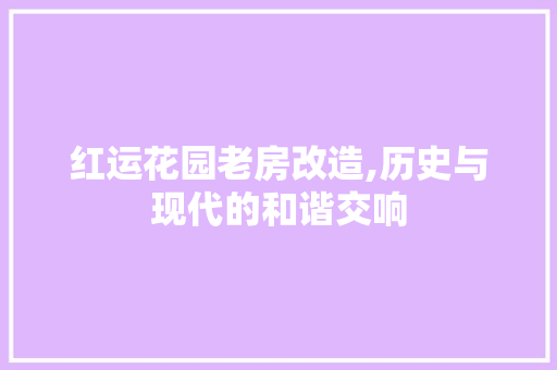 红运花园老房改造,历史与现代的和谐交响