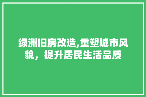 绿洲旧房改造,重塑城市风貌，提升居民生活品质