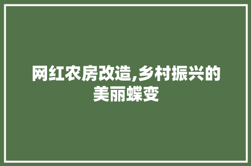 网红农房改造,乡村振兴的美丽蝶变