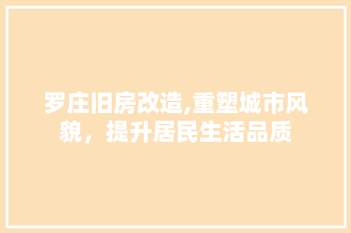 罗庄旧房改造,重塑城市风貌，提升居民生活品质