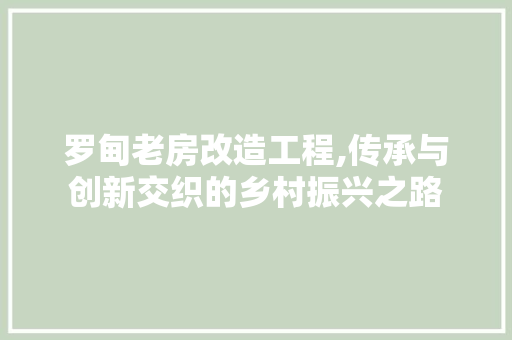罗甸老房改造工程,传承与创新交织的乡村振兴之路