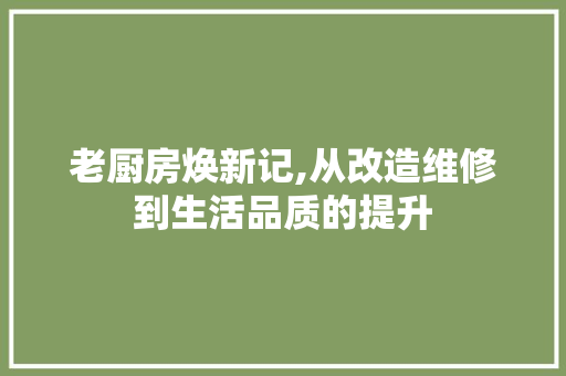 老厨房焕新记,从改造维修到生活品质的提升