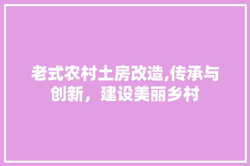 老式农村土房改造,传承与创新，建设美丽乡村