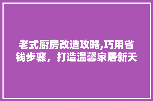 老式厨房改造攻略,巧用省钱步骤，打造温馨家居新天地