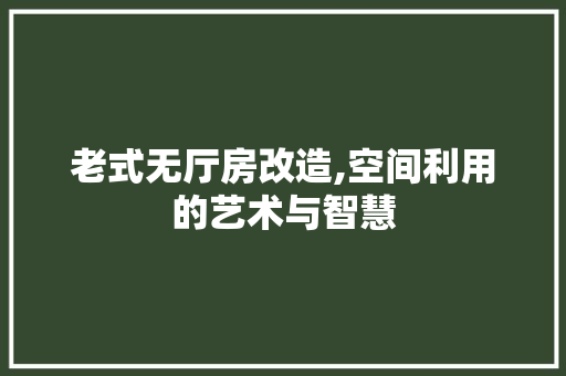 老式无厅房改造,空间利用的艺术与智慧