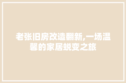 老张旧房改造翻新,一场温馨的家居蜕变之旅