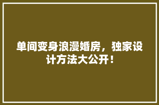 单间变身浪漫婚房，独家设计方法大公开！