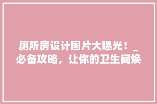 厕所房设计图片大曝光！_必备攻略，让你的卫生间焕然一新！