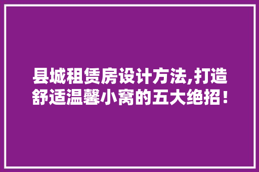 县城租赁房设计方法,打造舒适温馨小窝的五大绝招！