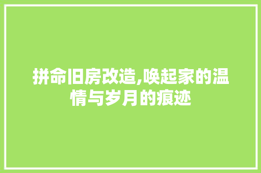 拼命旧房改造,唤起家的温情与岁月的痕迹