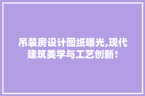 吊装房设计图纸曝光,现代建筑美学与工艺创新！