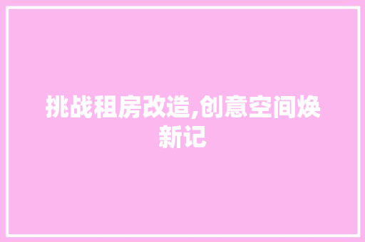 挑战租房改造,创意空间焕新记