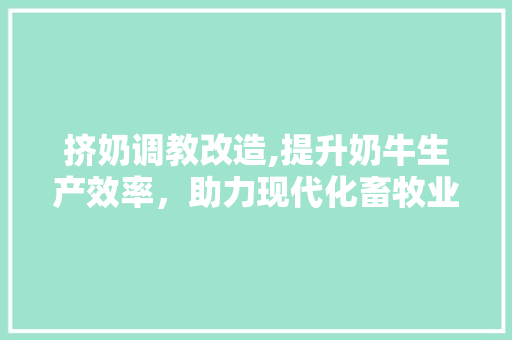 挤奶调教改造,提升奶牛生产效率，助力现代化畜牧业发展