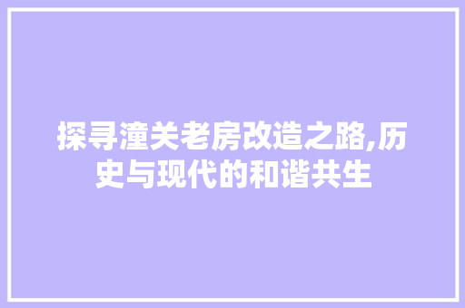 探寻潼关老房改造之路,历史与现代的和谐共生